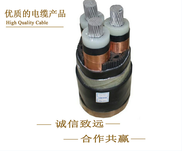 single mode dark fiber cable